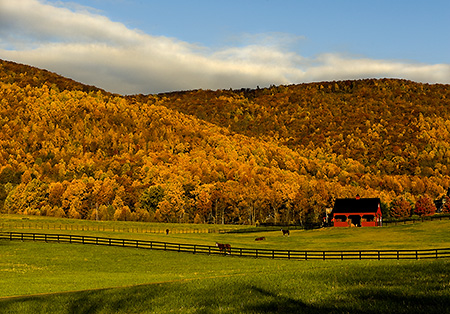 Nelson County Horsefarm in Fall, VA